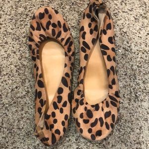 Cheetah Flats